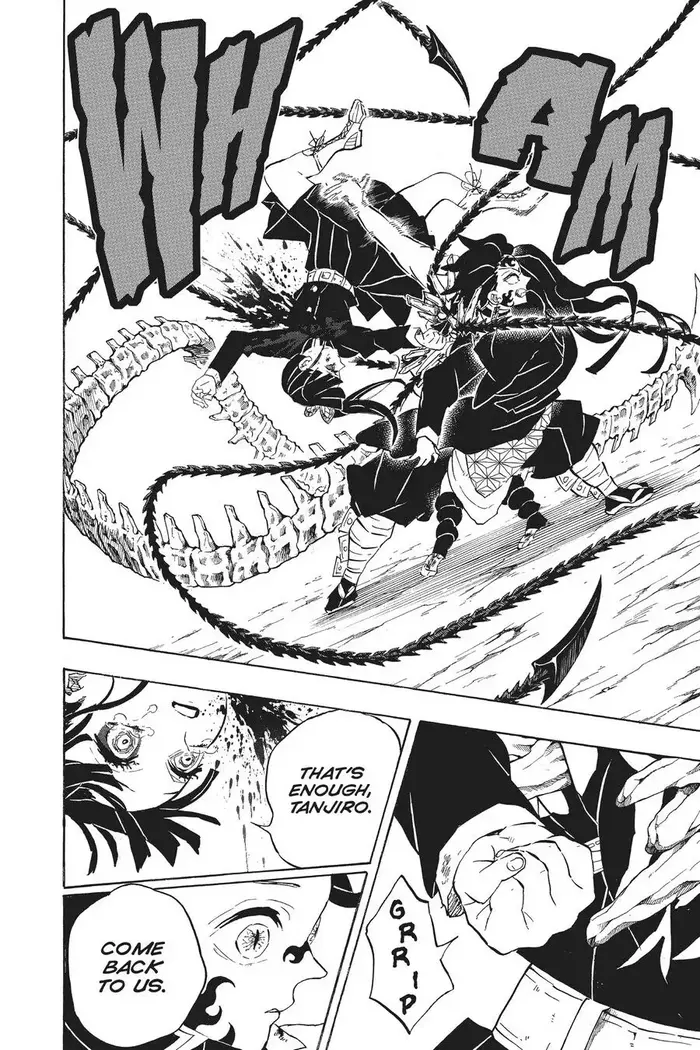 Demon Slayer Chapter 202 image 18_optimized
